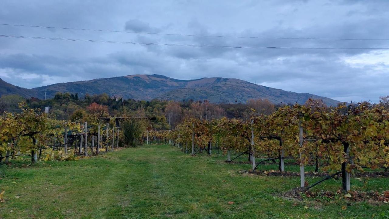 La Caneveta Al Piave Valdobbiadene Eksteriør billede