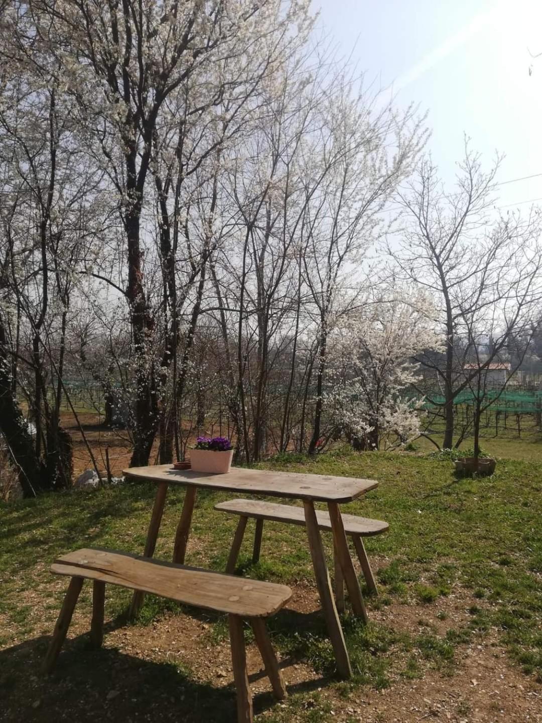La Caneveta Al Piave Valdobbiadene Eksteriør billede